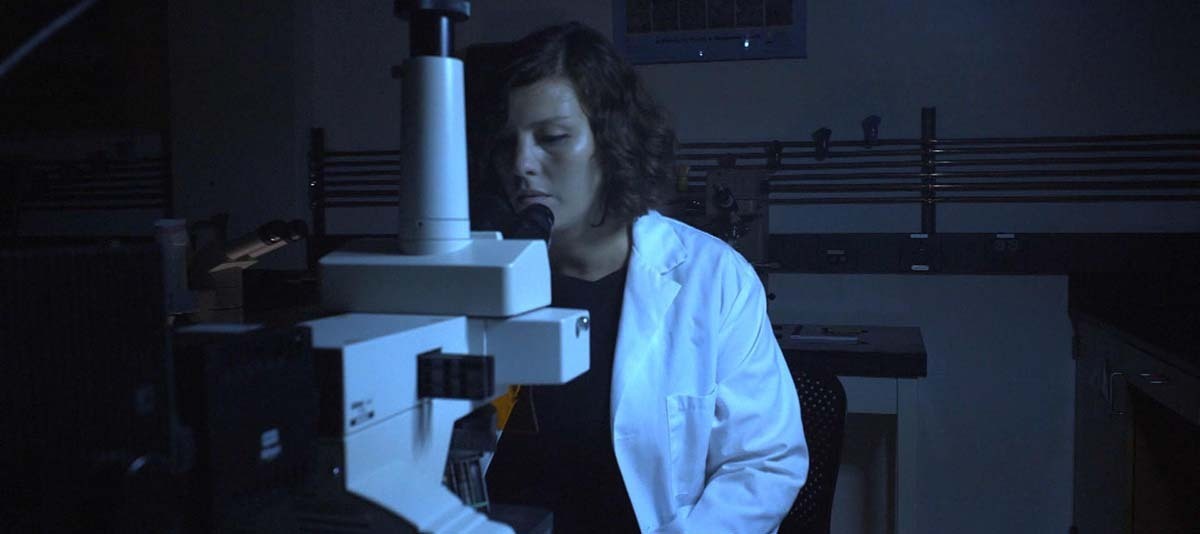 Pinar Zorlutuna looks into a microscope.