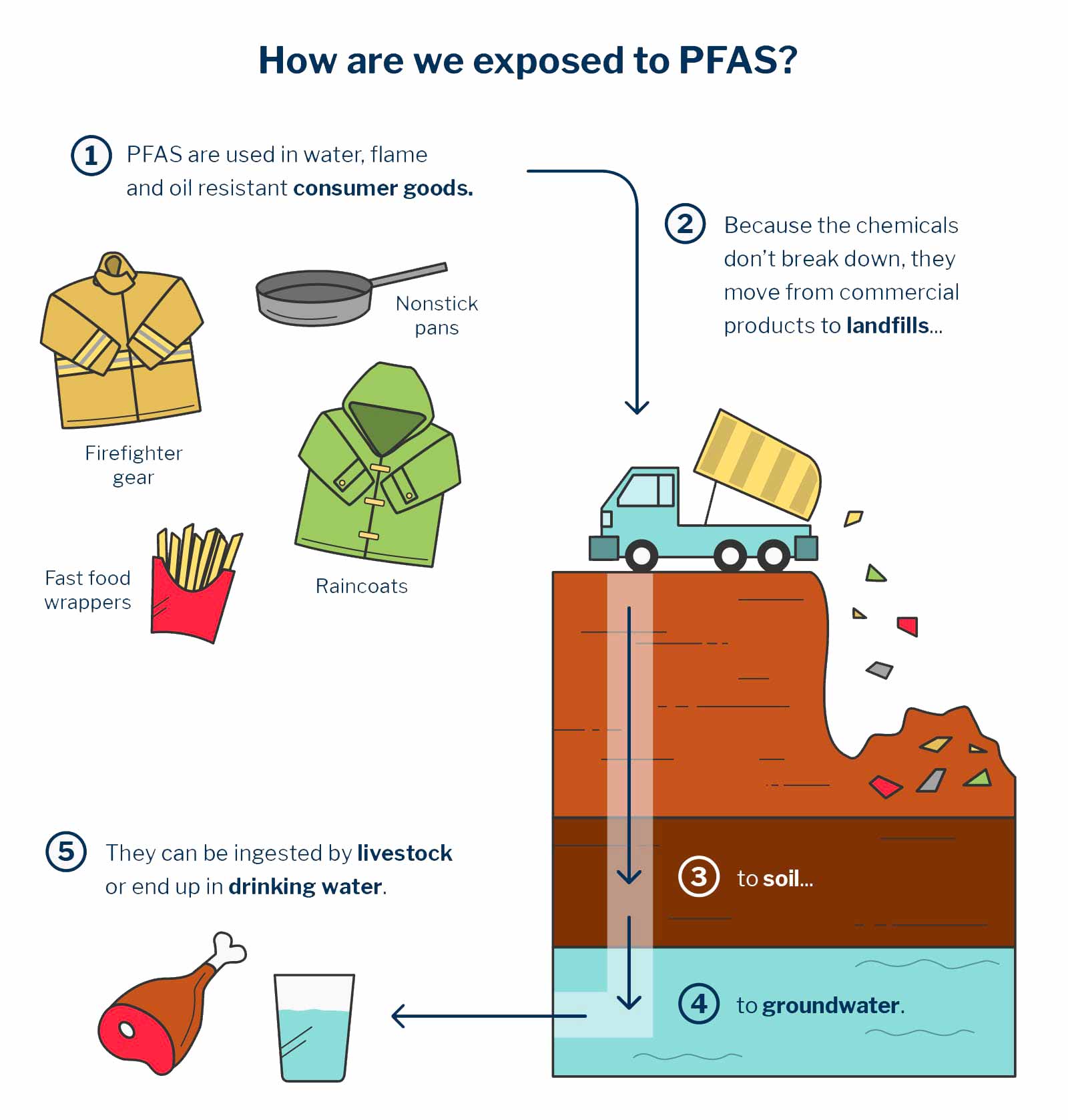 How are we exposed to PFAS? They are used in water, flame and oil resistant consumer goods. Because the chemicals don't break down, they move from commercial products to landfills, to soil, to groundwater. They can be ingested by livestock or end up in drinking water.