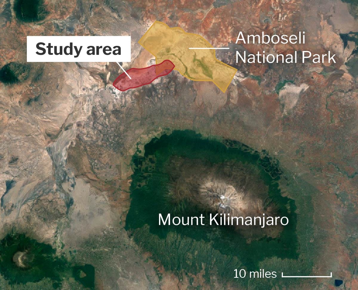 Map of the study area in related to the Amboseli National Park and Mount Kilimanjaro