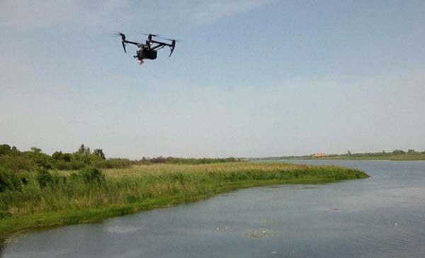 A drone flies above a vegetative shore.
