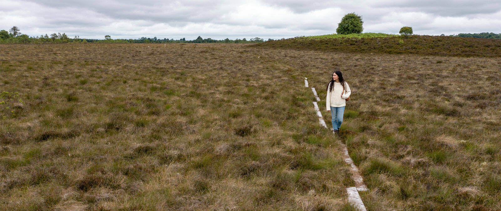 Common Home Ireland