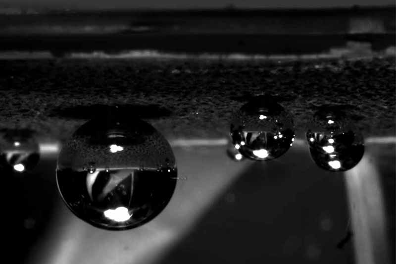 A close-up, black and white photo of several water droplets hanging from a textured surface.