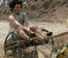 Chariot race